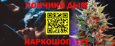 индика Кимры